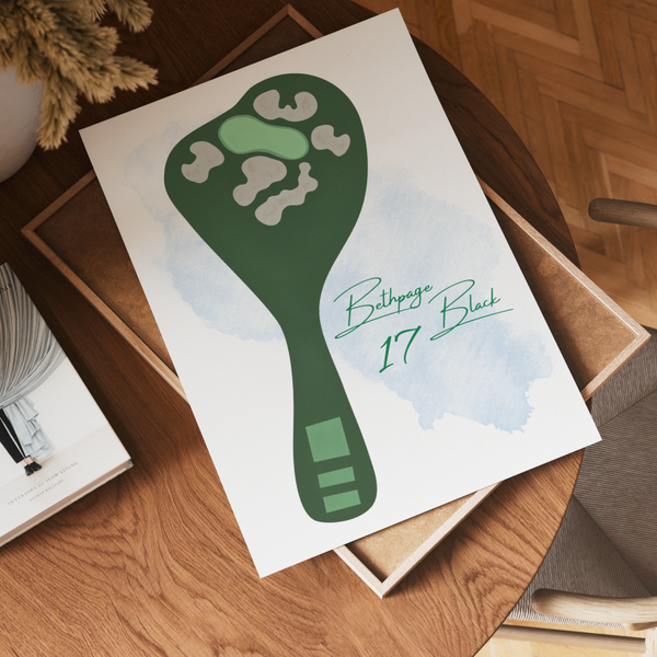 Bethpage 17 Art Print