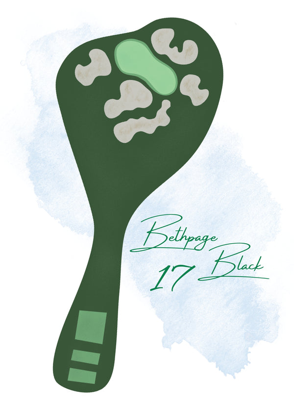 Bethpage 17 Art Print