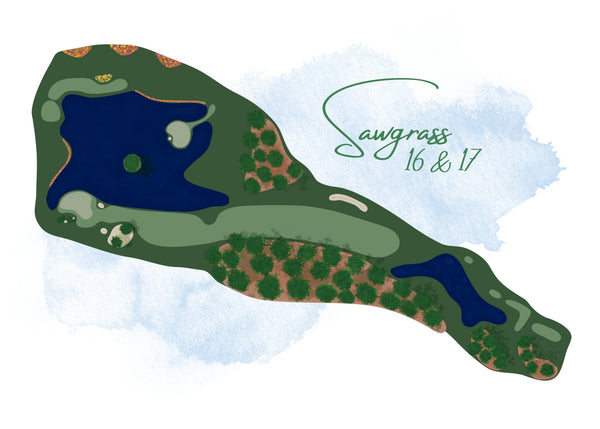 Sawgrass 16 17 Art Print